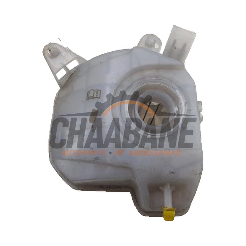 Vase dexpansion 2Q0121407D Seat Ibiza V (KJB) 1.0 TSI 12V 2017