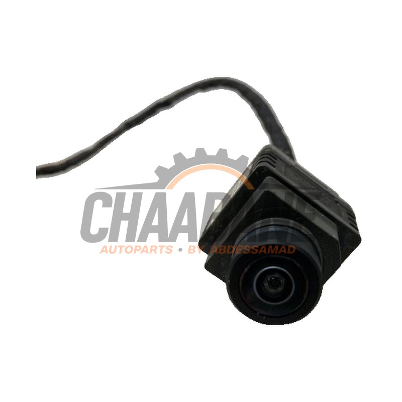 Camera de recul A0009056206 Mercedes E-Klasse AMG (W213) 4.0 E-63 S AMG V8 Turbo 4-Matic+