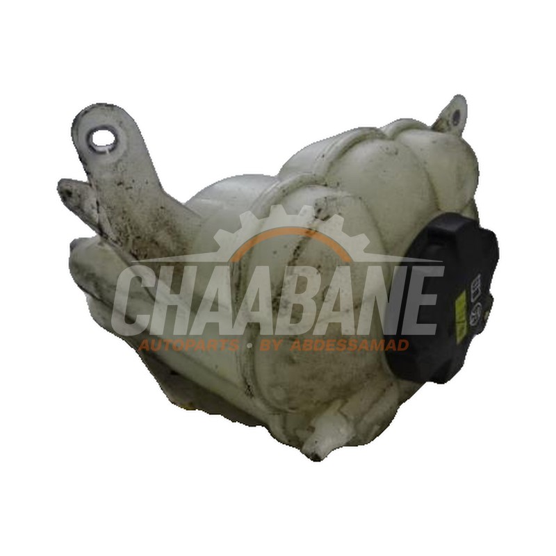Vase dexpansion BMW X6 2014 / 2019