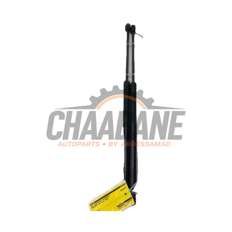 Verin de coffre 4479800564 Mercedes EQV 300