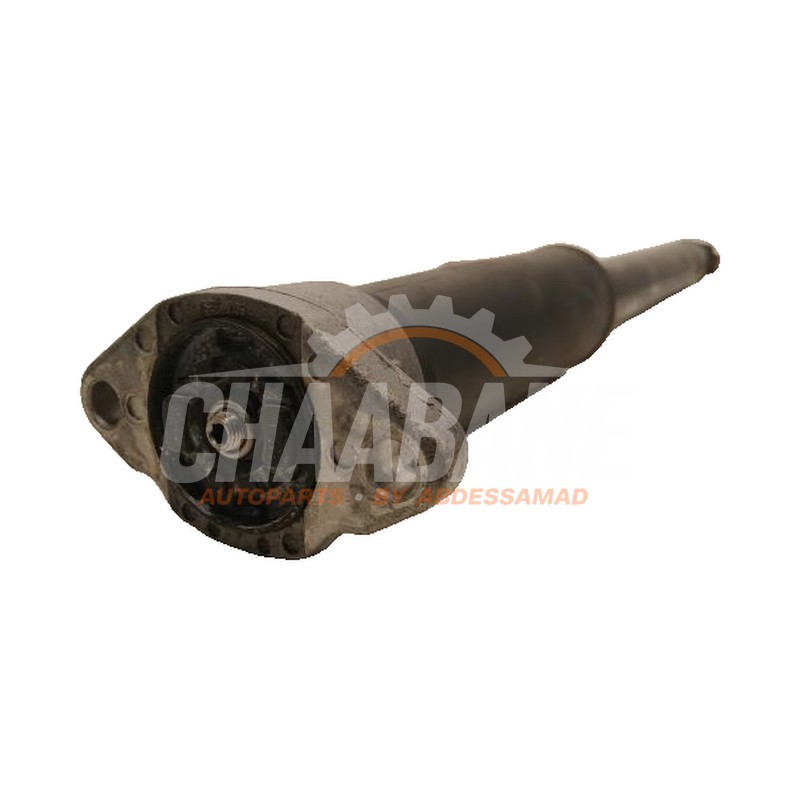 Amortisseur arriere gauche A2133204501 Mercedes E-Klasse
