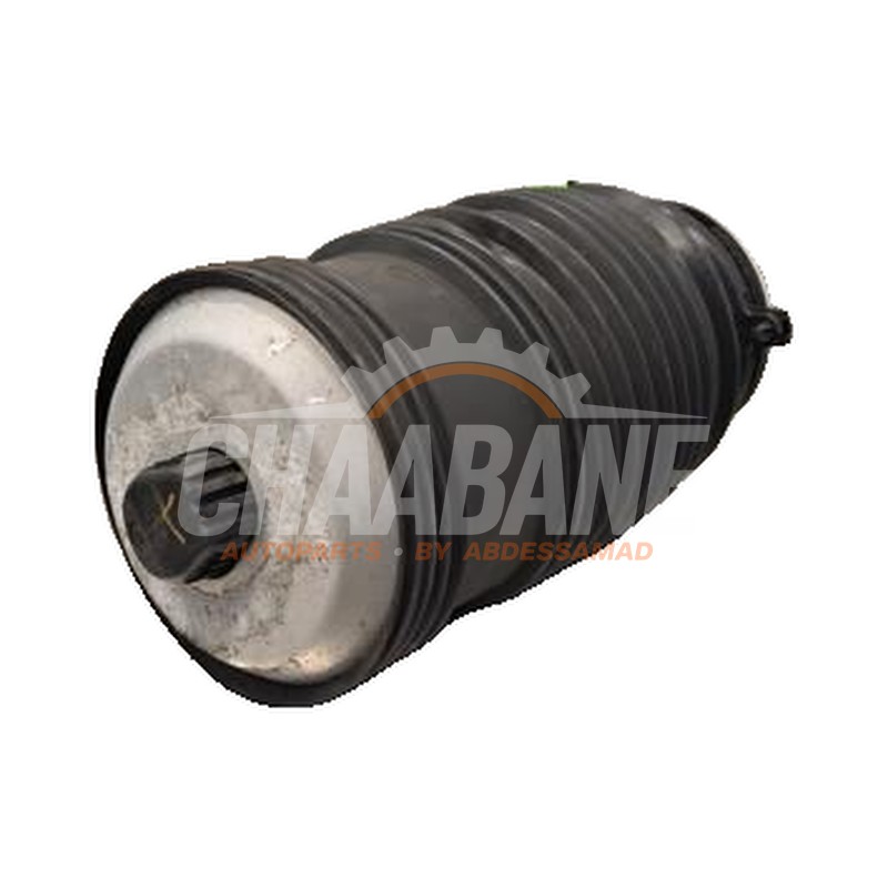 Coussin pneumatique A2053200125 Mercedes EQC (N293) 400 4-Matic