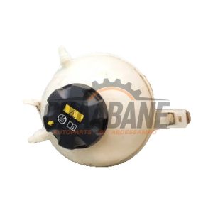 Vase dexpansion 17138742660 BMW X3 (G01) xDrive 20d 2.0 TwinPower Turbo 16V 2017