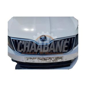 Calandre Skoda Octavia (5EAA) 1.6 TDI 16V 2012 / 2020