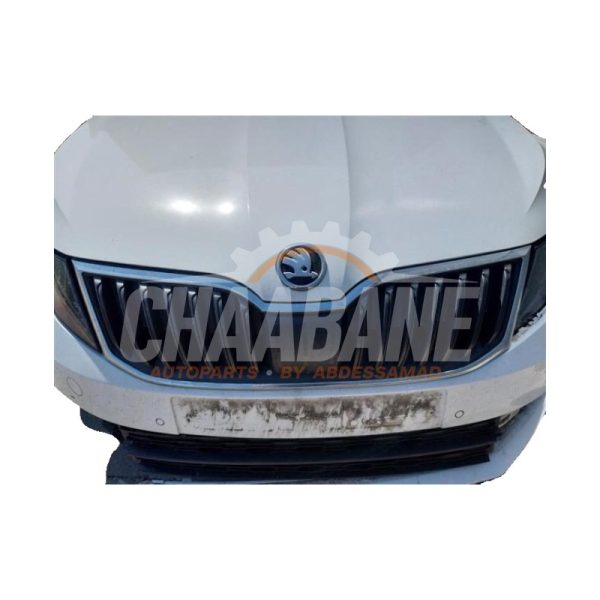 Calandre Skoda Octavia (5EAA) 1.6 TDI 16V 2012 / 2020