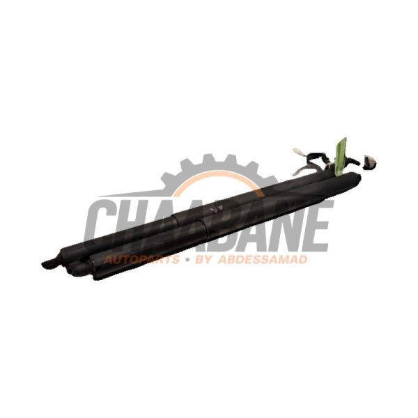 Kit amortisseur gaz hayon 51247461669 BMW X5 (G05) xDrive 25d 2.0 16V 2018