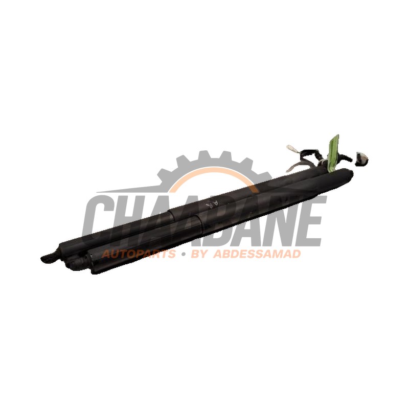 Verin de coffre 51247461669 BMW X5 (G05) xDrive 25d 2.0 16V 2018