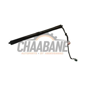 Amortisseur a gaz arriere droit T2R68844 Jaguar F-type 2.0 Turbo 16V