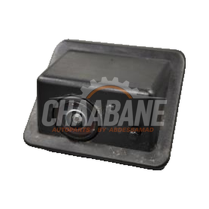 Camera de recul Cupra Born 2021 1EA980556J