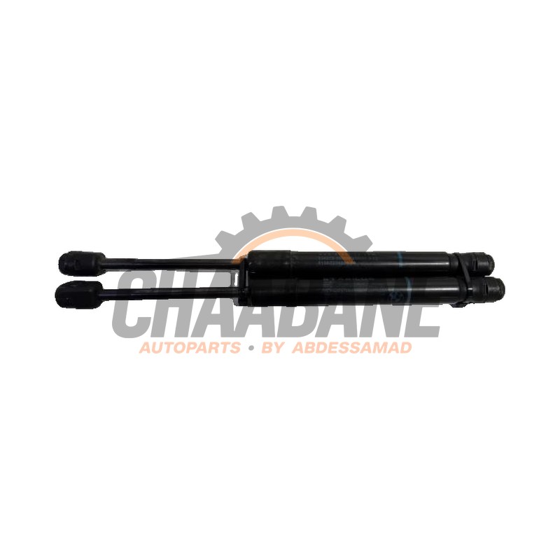 Amortisseur kit capot moteur 5123723933 BMW 1-Serie 2015 / 2019