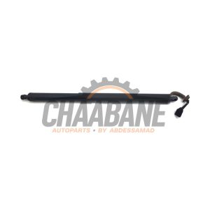 Hayon moteur 7350837 BMW X1 (F48) xDrive 20d 2.0 16V 2014 / 2022