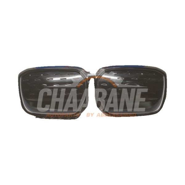 Calandre 51119881798 BMW iX3 80 kWh 2020