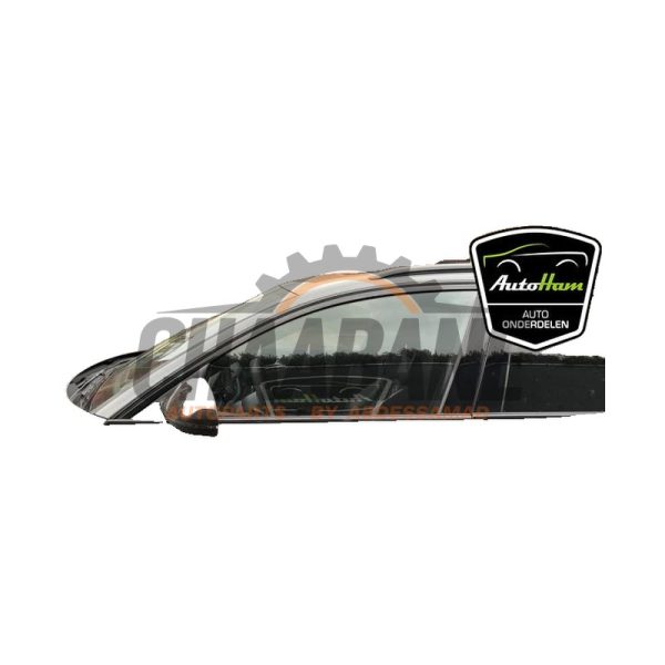 Portiere 4portes avant gauche Audi RS 6 Avant (C7) 4.0 V8 TFSI 32V 2013 / 2018