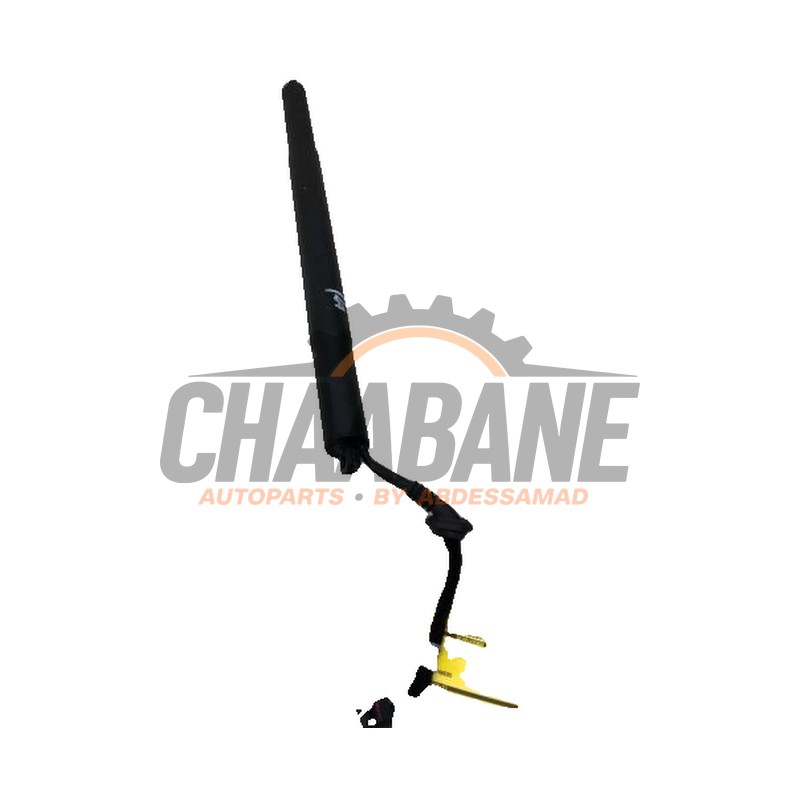 Amortisseur a gaz arriere droit 89E827851A Audi Q4 Sportback (4FN) 40 e-tron 2021