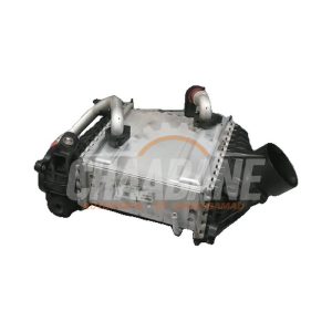 Echangeur air (Intercooler) A6540900100 Mercedes E-Klasse