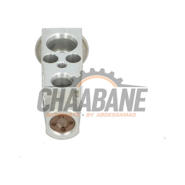 Valve dexpansion clim 5Q0816679C Audi Q2 (GAB/GAG) 1.6 30 TDI 16V 2016