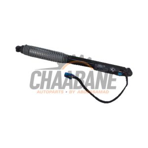 Amortisseur a gaz arriere gauche 51247357110 BMW 7-Serie 2015 / 2022
