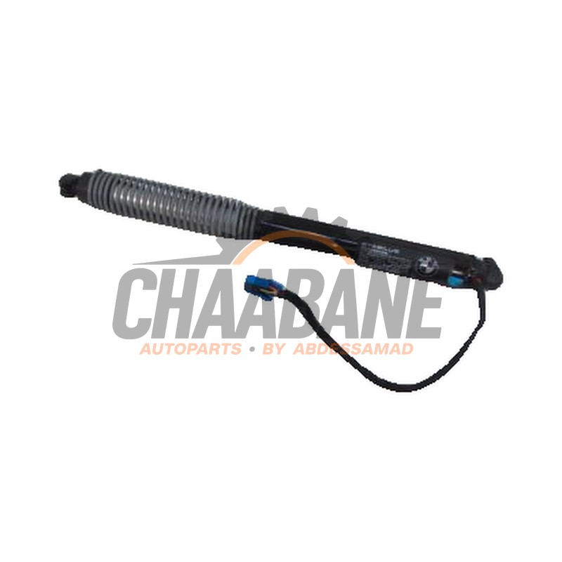 Amortisseur a gaz arriere gauche 51247357110 BMW 7-Serie 2015 / 2022