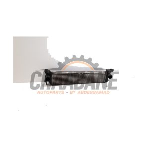 Echangeur air (Intercooler) A4475010501 Mercedes Vito (447.6) 1.6 111 CDI 16V