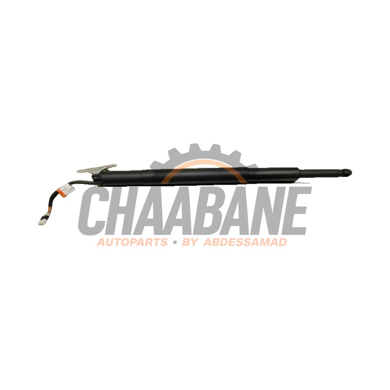 Hayon moteur 745341310 BMW 3 serie Touring (G21) 316d 2.0 TwinPower Turbo 16V 2019