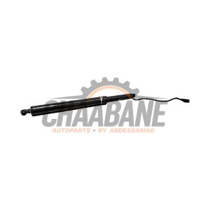 Amortisseur a gaz arriere gauche 51245A635D3 BMW iX (I20) xDrive40 77 kWh 2021