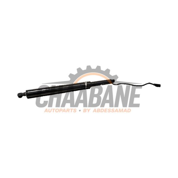 Amortisseur a gaz arriere gauche 51245A635D3 BMW iX (I20) xDrive40 77 kWh 2021