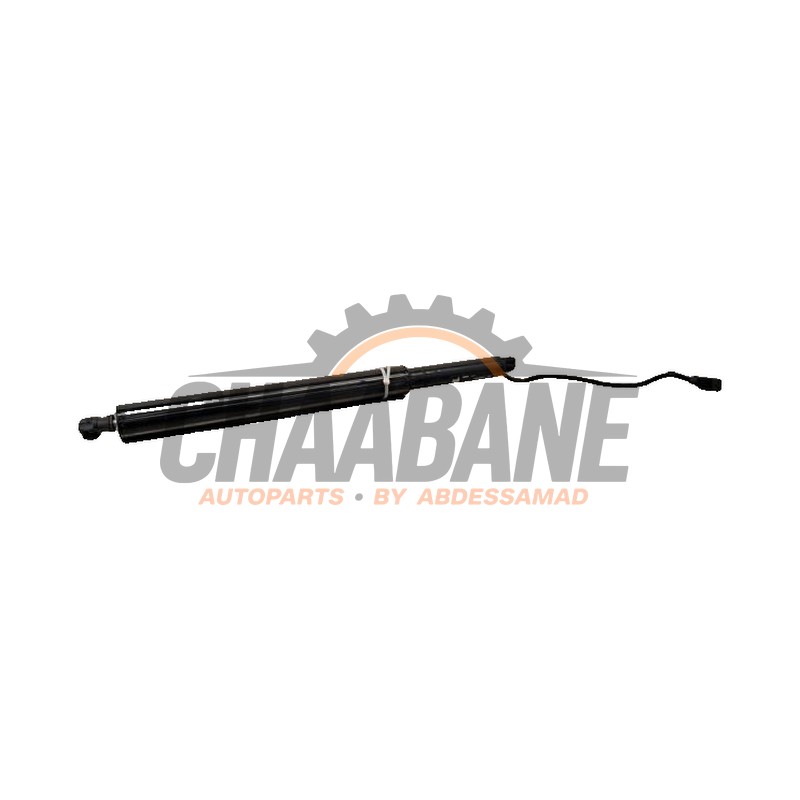 Amortisseur a gaz arriere gauche 51245A635D3 BMW iX (I20) xDrive40 77 kWh 2021