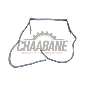 Joint caoutchouc pare-brise 7429625 BMW Z4 2018