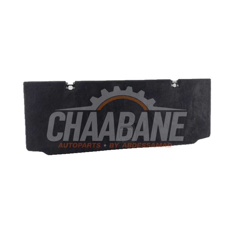 Plaque sol coffre 5A0B6C5 BMW X5 (G05) xDrive50e 3.0 24V 2018