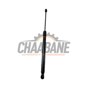 Amortisseur kit capot moteur Skoda Octavia 2020