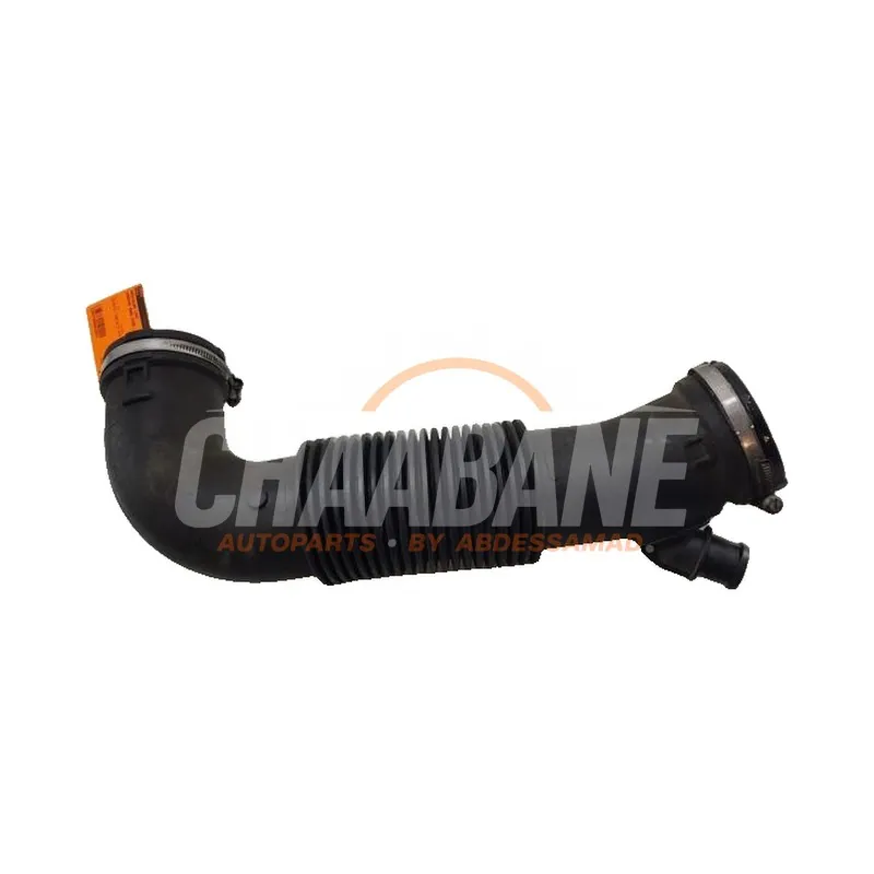 Tuyau daspiration air CPLA9C619AA Landrover Range Rover Sport (LW) 3.0 TDV6