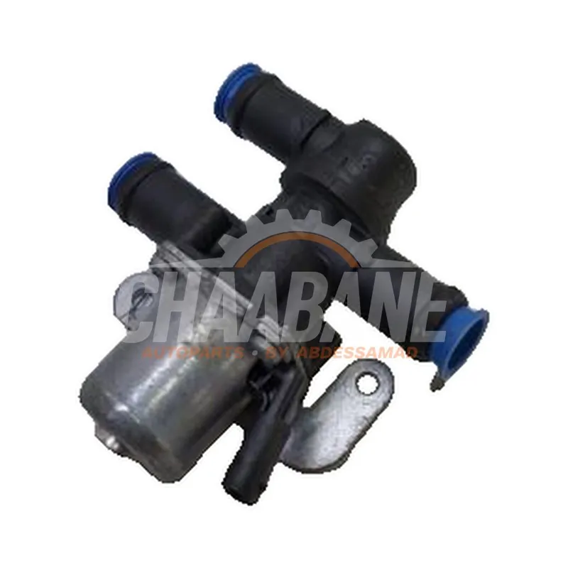 Pompe a eau supplementaire Cupra Born 58 2021 5Q0906457C