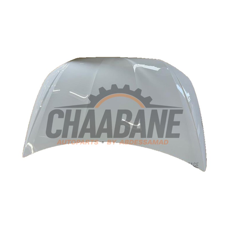 Capot 6F0823031D Seat Ibiza V (KJB) 2017