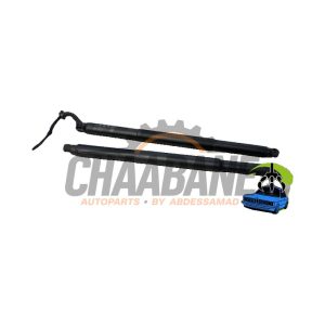 Verin de coffre 51249450466 BMW X1 (U11) xDrive 25e 1.5 TwinPower Turbo 12V 2022