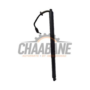 Amortisseur a gaz arriere gauche 5LG827851B Skoda Enyaq iV 60 2021