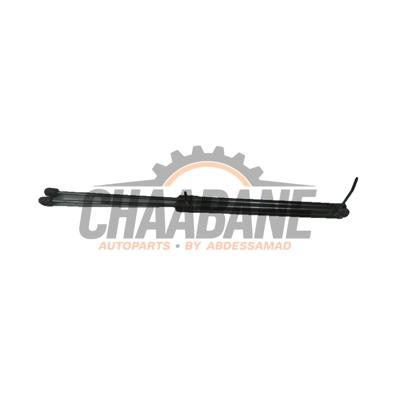 Amortisseur a gaz arriere gauche A2939800200 Mercedes EQC