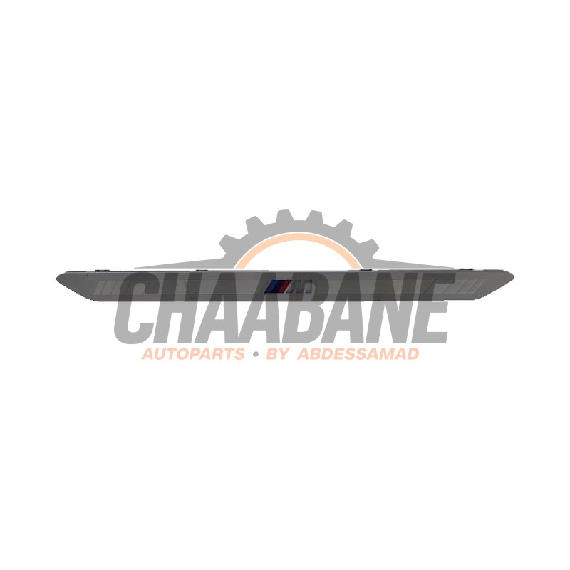 Eclairage dembarquement 8069271 BMW X5 (G05) xDrive50e 3.0 24V 2018