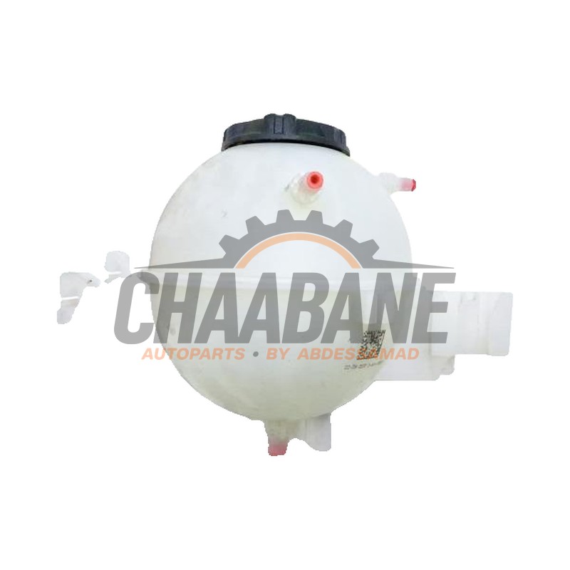 Vase dexpansion 11564310 BMW iX3 80 kWh 2020