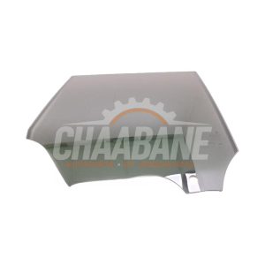 Vitre portiere 4portes arriere gauche 43R011008 BMW iX (I20) xDrive40 77 kWh 2021