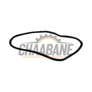 Joint caoutchouc portiere 4portes arriere droite 7380923 BMW X4 2014 / 2018