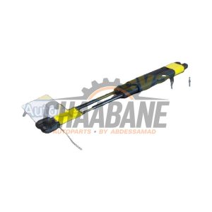 Amortisseur kit capot moteur A2139800264 Mercedes E (W213) E-220d 2.0 Turbo 16V