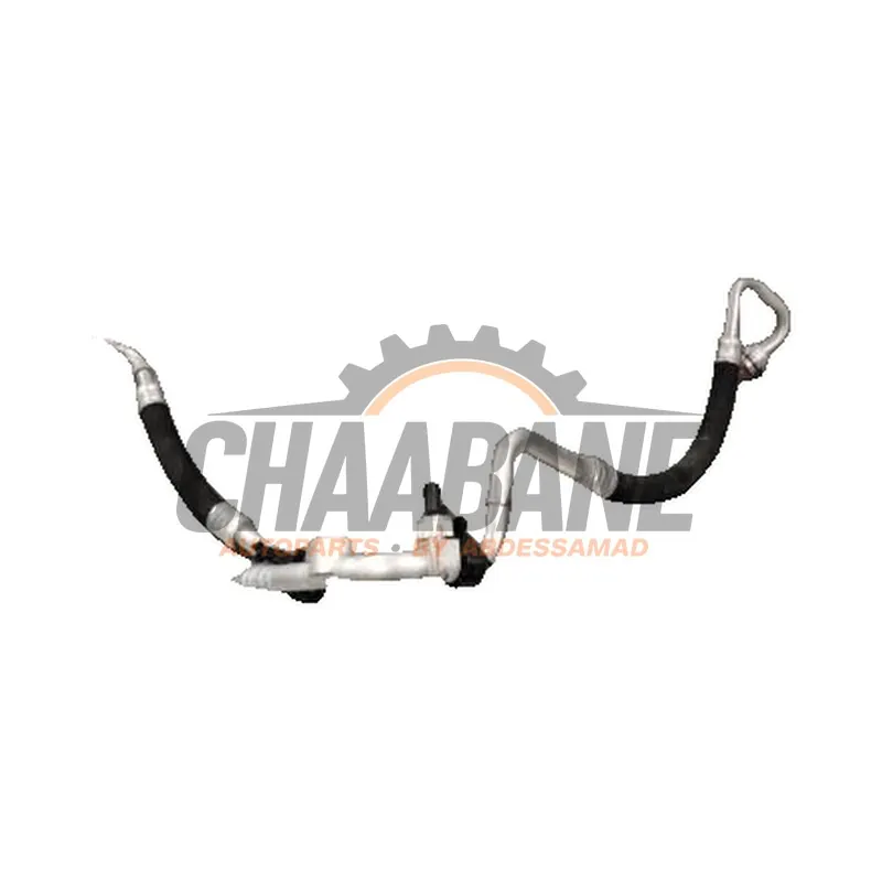 Tuyau clim Cupra Born 2021 1EA816743L