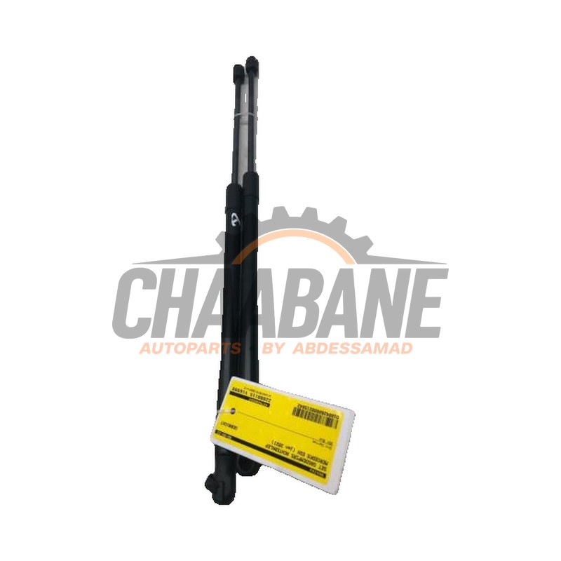 Verin de coffre 4479800564 Mercedes EQV 300