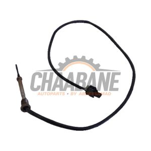 Sensor temperature d'echappement 8589815 BMW X1 (F48) sDrive 18d 2.0 16V 2014 / 2022