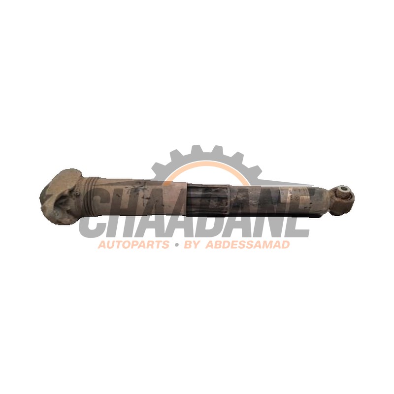 Amortisseur arriere gauche 1EA513049AH Audi Q4 (F4B) 40 e-tron 2021