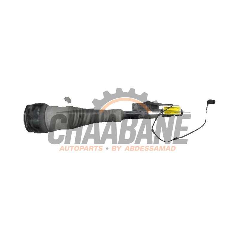 Amortisseur arriere gauche 2223200313 Mercedes S (222.0/222.1) 3.5 S-400 Hybrid 24V