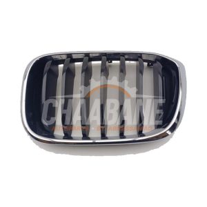 Calandre 51137440853 BMW X3 (G45) 20d xDrive 2.0 TwinPower 16V Mild Hybrid 2024