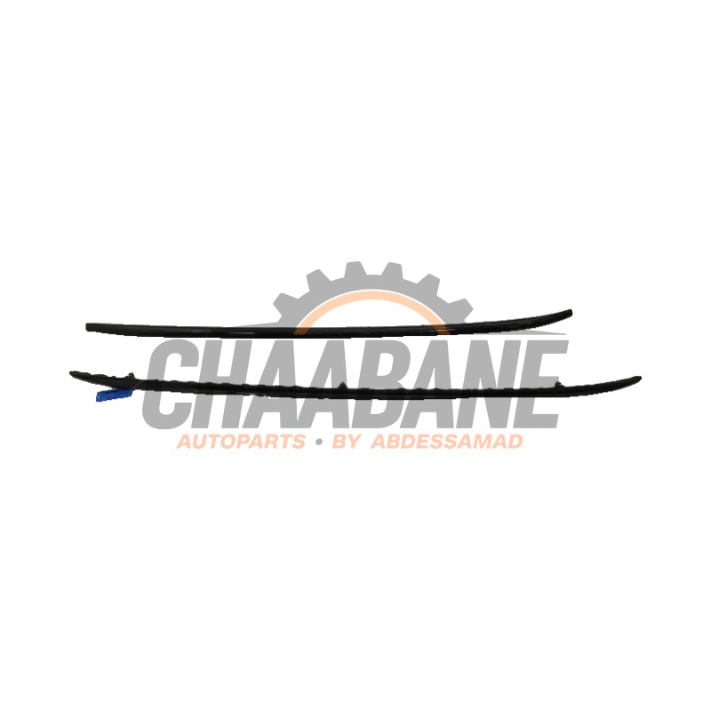 Galerie de toit 8071659 BMW X5 2018