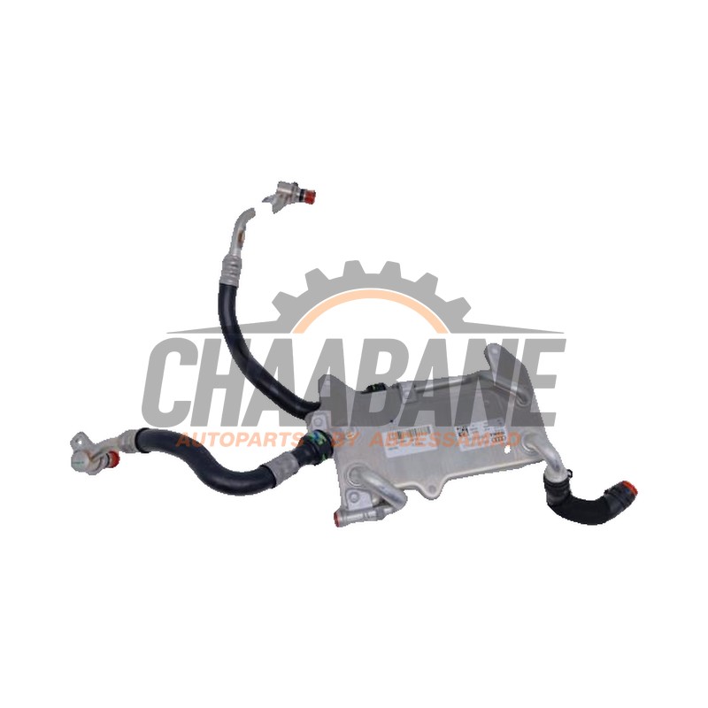 Refroidisseur dhuile 4M0317021G Audi RS 5 Sportback (F5A/F5F) 2.9 V6 TFSI 24V 2018