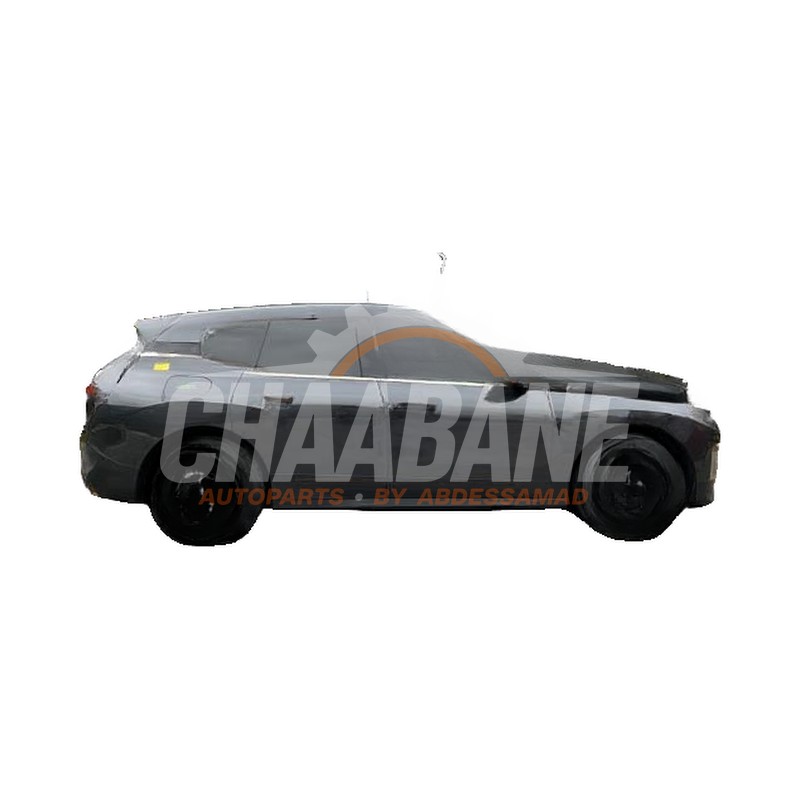 Carrosserie (complete) 41009631267 BMW iX (I20) xDrive40 77 kWh 2021